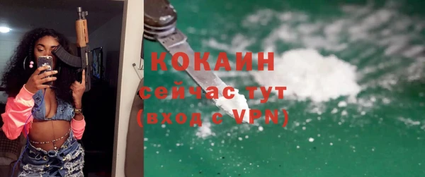 стаф Бородино