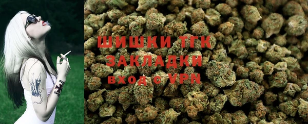 стаф Бородино