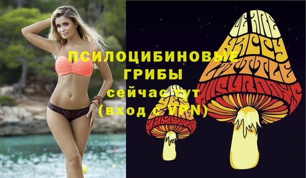 меф Бугульма