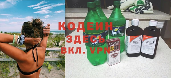 стаф Бородино