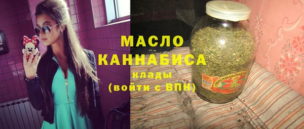 стаф Бородино