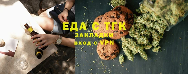 стаф Бородино