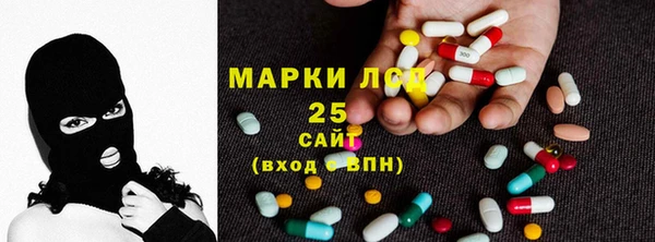 стаф Бородино