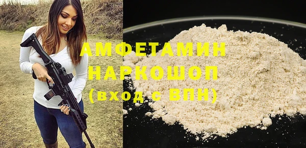 стаф Бородино