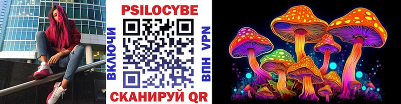 наркошоп  Ветлуга  Галлюциногенные грибы прущие грибы 